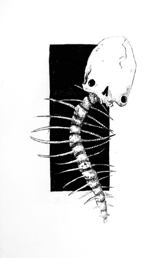 Spinal